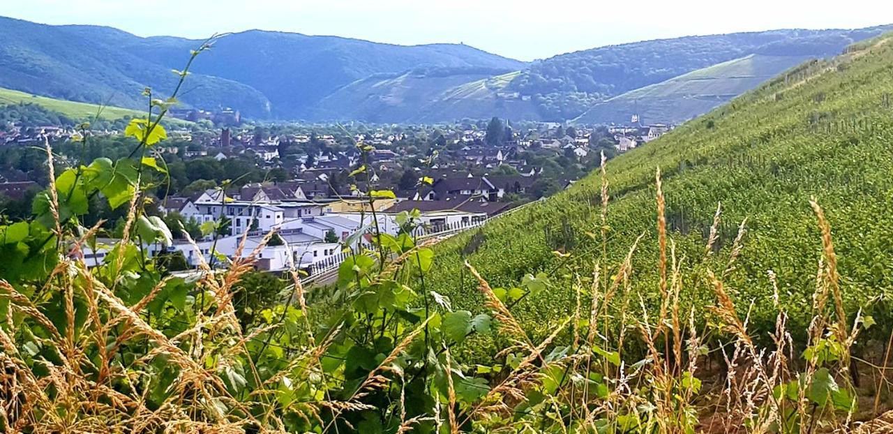 Ahrweiler Seelchen Bad Neuenahr-Ahrweiler Exterior foto